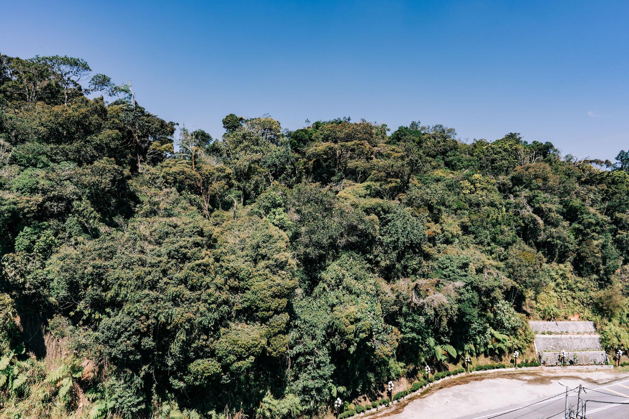 Hotel De' La Ferns, Cameron Highlands Exterior foto